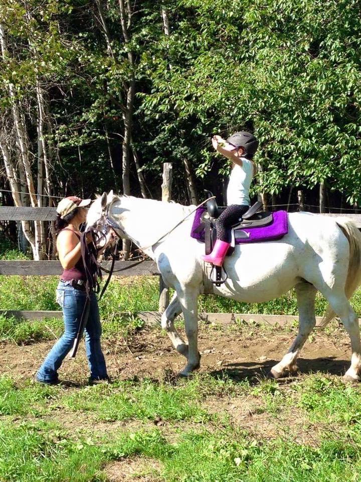 Introduction à l’équitation Brigham