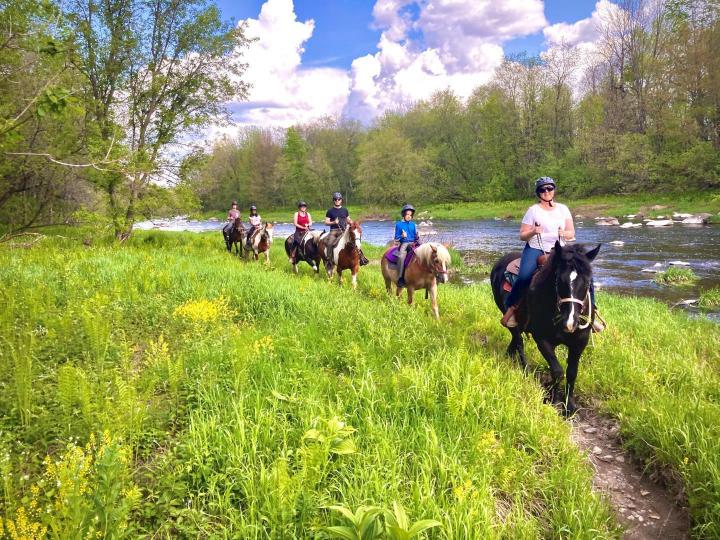 Ateliers avec les chevaux Brigham